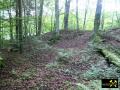 Eisen-Mangan-Bergbau im Lochborner Revier bei Bieber, Nordspessart, Hessen, (D) (17) 31. Mai 2014.JPG